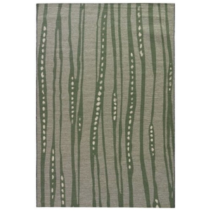 National Geographic by Tendril Indoor / Outdoor Floral Green / Gray Area Rug (7'6"  x  9'6")
