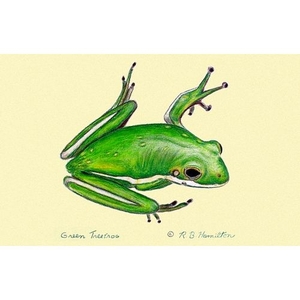 Green Tree Frog Door Mat 18X26