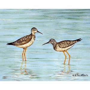 Yellow Legs Door Mat 30X50