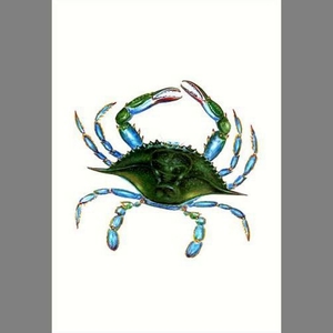 Female Blue Crab Flag 12.5X18