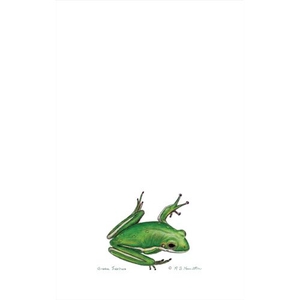 Green Tree Frog Kitchen Towel