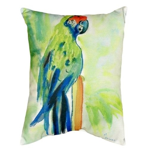Green Parrot No Cord Pillow 16X20