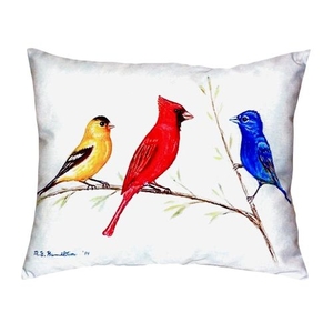 Three Birds No Cord Pillow 16X20
