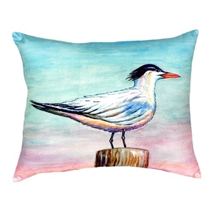 Royal Tern No Cord Pillow 16X20