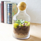Personalized 56 Oz. Glass Terrarium With Wood Ball