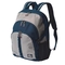 Sailcloth Silver Spinnaker Daypack, Silver with Blue Trim