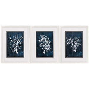 Wood Coral Blue Framed Art Set Of 3
