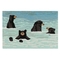 Liora Manne Frontporch Bathing Bears Indoor/Outdoor Rug Water 20"x30"