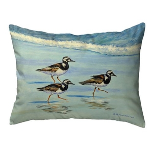 Ruddy Turnstones Large Noncorded Pillow 16x20