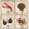 Clam Bake Coasters