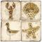 By The Sea Botticino Marble Coasters
