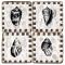Shell Coasters With Border  S/4