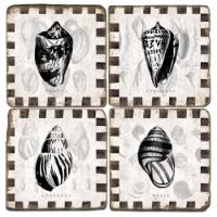 Shell Coasters With Border  S/4
