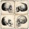 Skull Marble Coasters