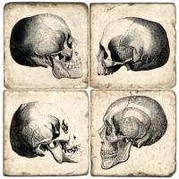 Skull Marble Coasters