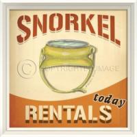 Snorkel Rentals Framed Art