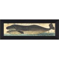Guide For The Bowhead And Right Whale Framed Art