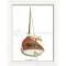 Day Boat No.1 Framed Art