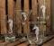 Seahorse AP Large Wine Glasses S/4