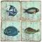Fish Marble Coasters