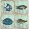 Fish Marble Coasters