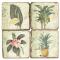 Tropical Plants Coasters S/4