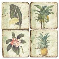 Tropical Plants Coasters S/4