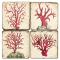 Red Coral Coasters