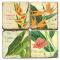 Tropical Bars Coasters S/4
