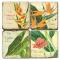 Tropical Bars Coasters S/4
