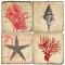 Shell, Starfish And Corals Italian Marble Coasters
