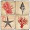 Shell, Starfish And Corals Italian Marble Coasters