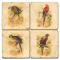 Parrot Coasters, Set Of 4