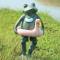 Beach Frog with Flamingo Friend