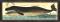 The Bowhead And Right Whale Large Framed Art