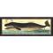 The Bowhead And Right Whale Large Framed Art