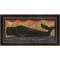 Anatomy Of A Whale II Framed Art By Kolene Spicher