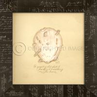 Gnarley Shell Framed Art
