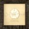 Sand Dollar Framed Art