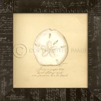 Sand Dollar Framed Art