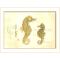Seahorses Framed  Art