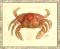Crab03 Framed Art