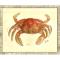 Crab03 Framed Art