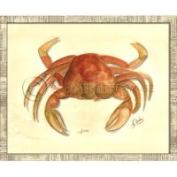 Crab03 Framed Art