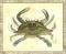 Crab04 Framed Art