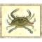 Crab04 Framed Art