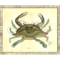 Crab04 Framed Art