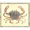 Crab08 Framed Art
