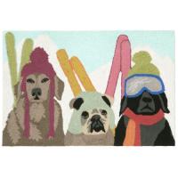 Liora Manne Frontporch Ski Patrol Indoor/Outdoor Rug - Multi, 20" By 30"