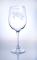 Sea Turtle large wine glass